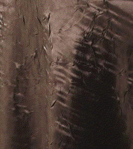 Where to rent TABCL,90X156 CRUSH TURQ GOLD in Fairfield TX