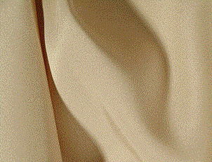 Where to rent CHAMPAGNE LINEN in Fairfield TX