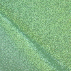 Where to rent SEAMIST ORGANZA LINEN in Fairfield TX